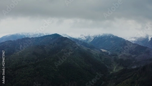 Fototapeta Vertical panning from a drone, a view of the mountain valley with a lake in a lowland at the foot of gently sloping mountains overgrown with a dense spruce forest.