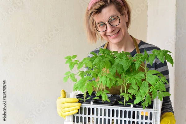 Fototapeta A happy woman holds a box with tomato seedlings. Gardening, hobby. Selective focus on the leaves of the plants.