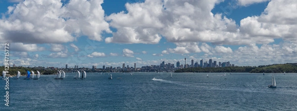 Obraz Panoramic views of Sydney