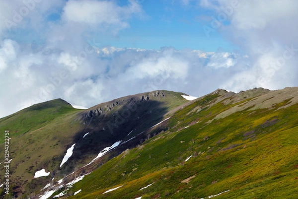 Fototapeta High in the mountains at the level of clouds and alpine meadows