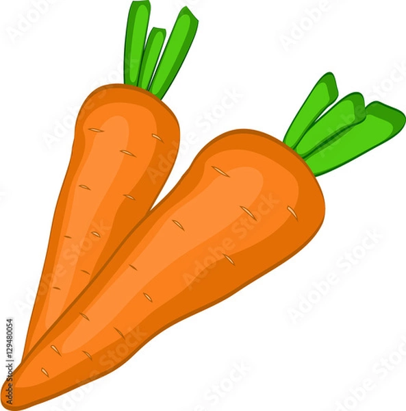 Obraz carrot