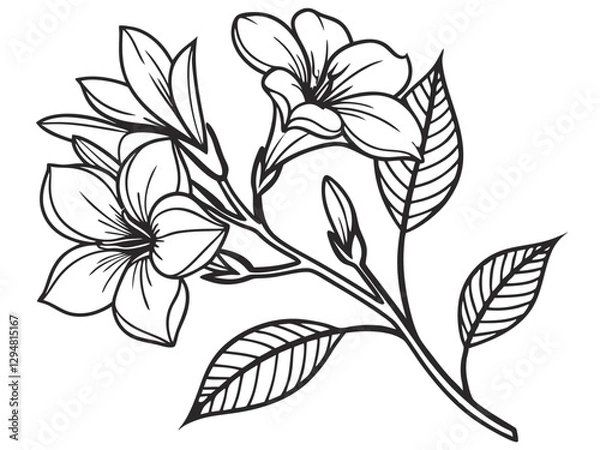 Fototapeta Elegant Gardenia Flower Vector Art for Floral Designs