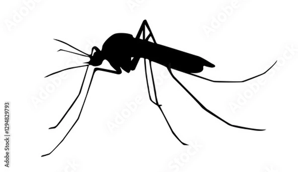Obraz Mosquito Silhouette