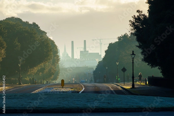 Obraz The Phoenix Park early in the morning