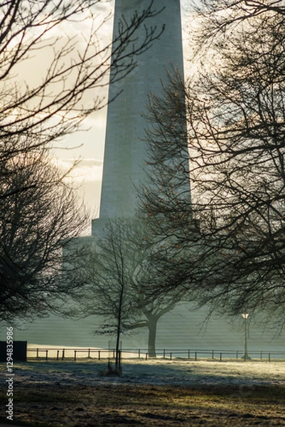 Obraz The Phoenix Park early in the morning