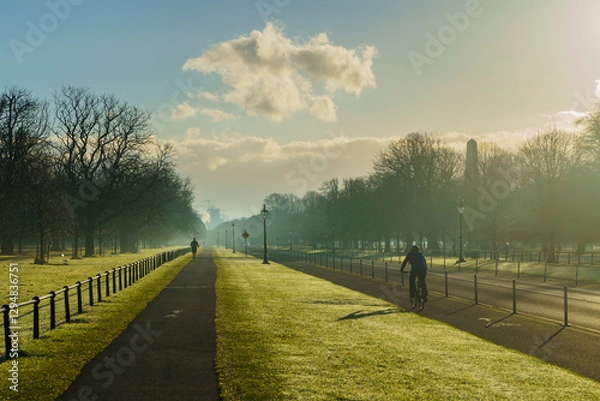 Obraz The Phoenix Park early in the morning