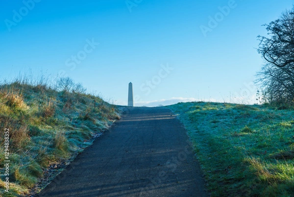 Obraz The Phoenix Park early in the morning