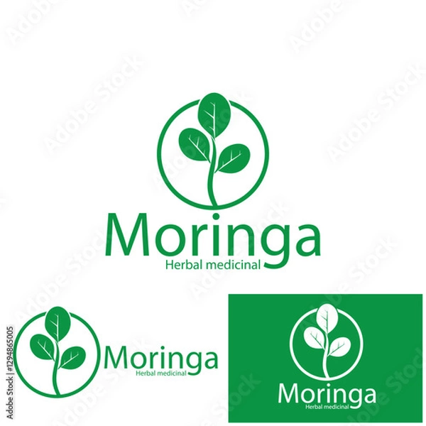 Fototapeta moringa leaves icon vector illustration template design