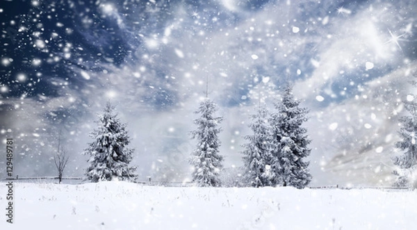 Fototapeta Christmas background with snowy fir trees