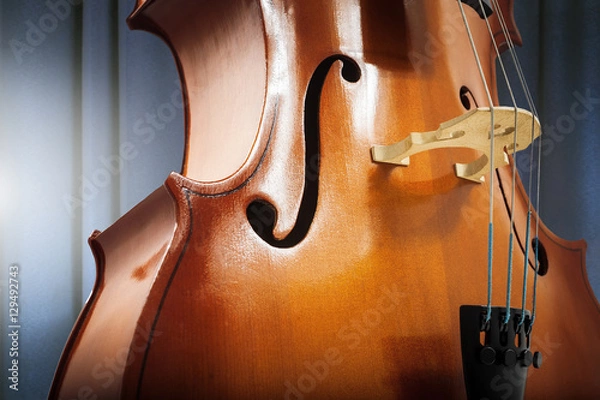 Obraz Cello. Classical music.