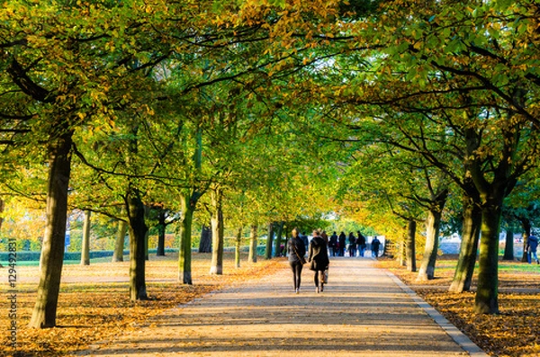 Fototapeta Autumn and people walking on a vibrant tree lined path in Greenwich, London