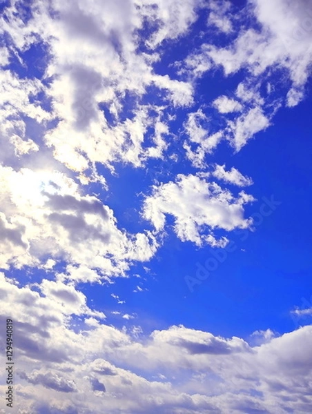 Obraz 早春　青空　イメージ