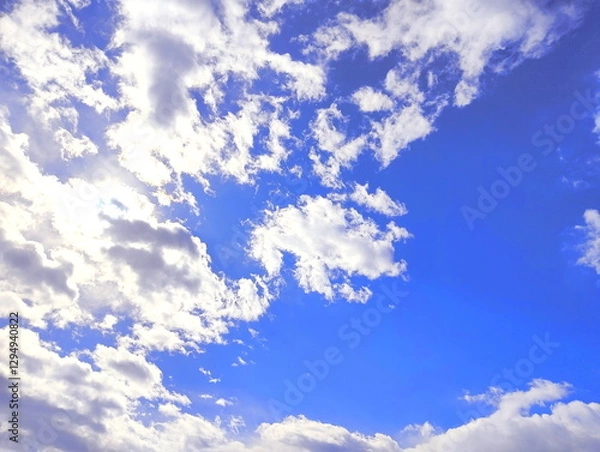 Obraz 早春　青空　イメージ