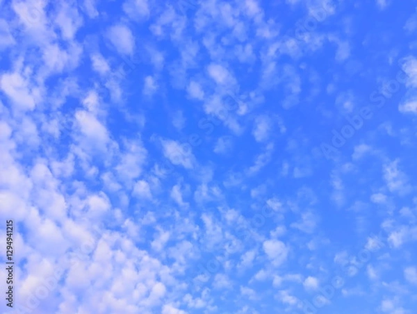 Obraz 早春の鱗雲　イメージ