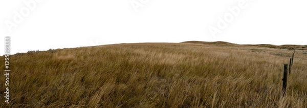 Fototapeta Dry prairie ranch grass blowing in the wind and a barbed wire fence with distant hills and a transparent sky. Panorama
