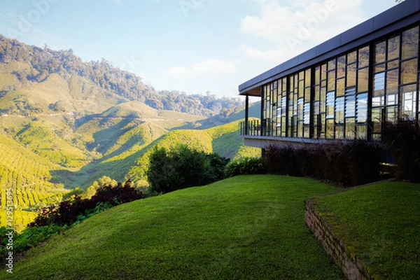 Obraz Viewpoint on the top of cameron highland, tea valley and sunrise in Malaysia