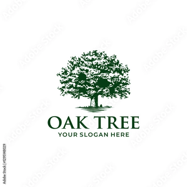 Obraz Oak Tree Logo vector
