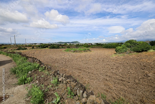 Obraz 밭과 하늘이 어우러진 논밭 풍경 제주도 제주시 한림읍 귀덕리 영등할망 밭담길
