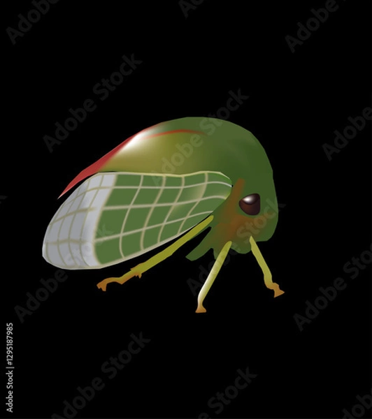 Obraz leaf hopper