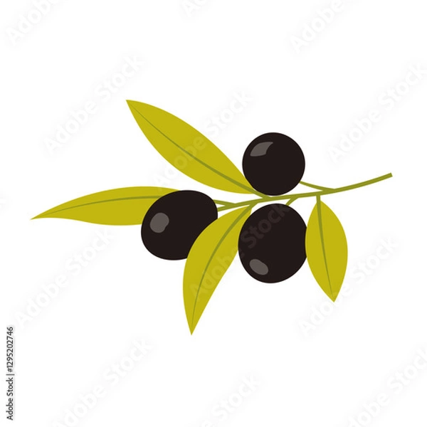Fototapeta History Elements 2 Black Olives on Branch