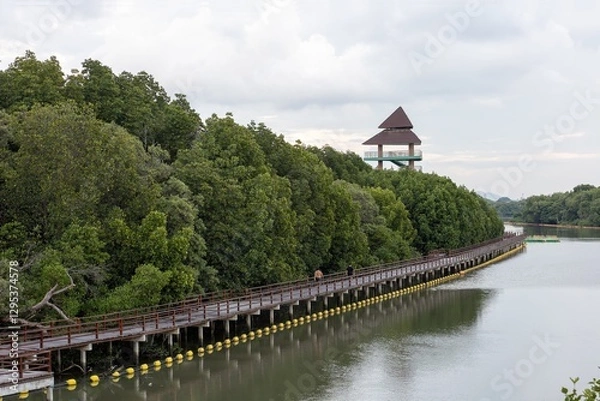 Fototapeta A waterfront walkway bridge near the mangrove forest with an observation tower at the back