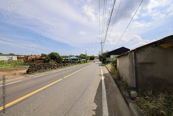 Fototapeta 밭과 하늘이 어우러진 논밭 풍경 제주 제주시 한림읍 동명리  수류촌밭담길