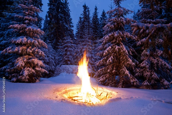Obraz Bonfire on snow fir forest