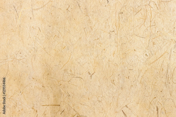 Obraz Mulberry paper background or handmade paper texture