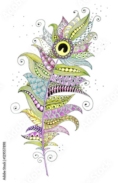 Obraz Hand drawn zentangle feather on white background