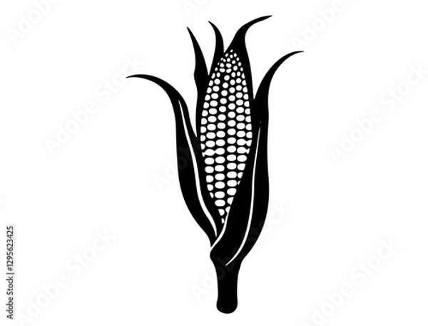 Obraz corn on a white background