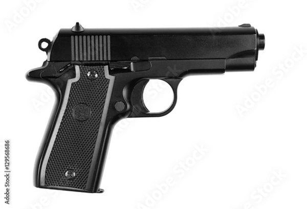 Obraz Gun on white background