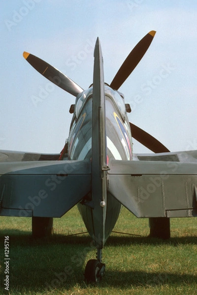 Obraz spitfire tail