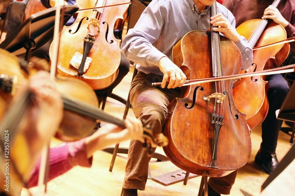 Fototapeta Rehearsal Symphony orchestra