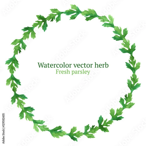Fototapeta Watercolor vector wreath with parsley