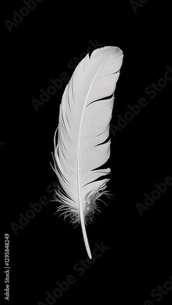 Obraz White feather on black background