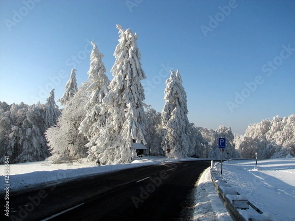 Obraz Winterlandschaft