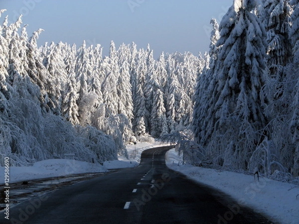 Obraz Straße durch Wintertraum