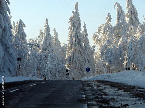 Obraz Straße durch Wintermärchen