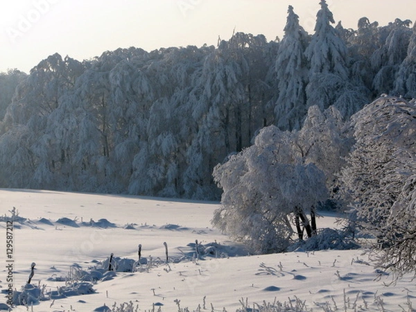 Obraz Winterlandschaft