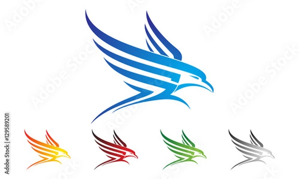 Obraz eagle, hawk, phoenix vector logo design, 
