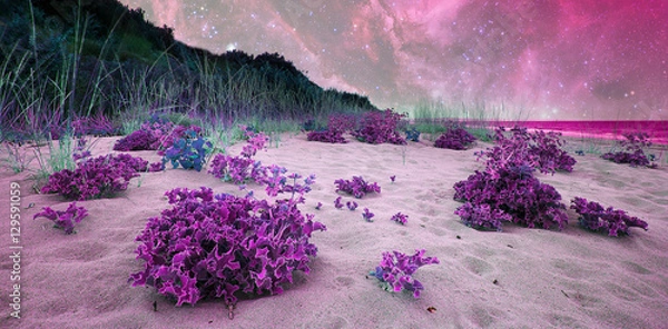 Obraz alien landscape