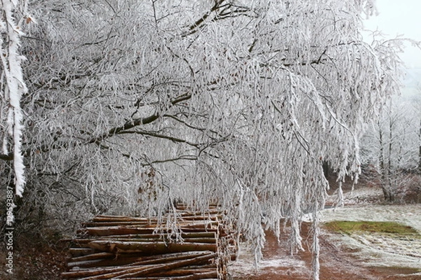 Obraz Winterlich und kalt