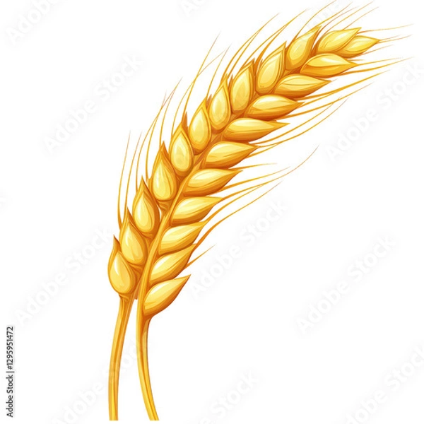 Fototapeta wheat isolated on transparent background