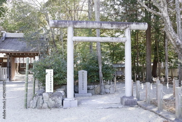 Obraz 伊奘諾神宮