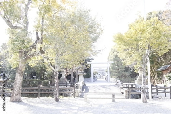 Fototapeta 伊奘諾神宮