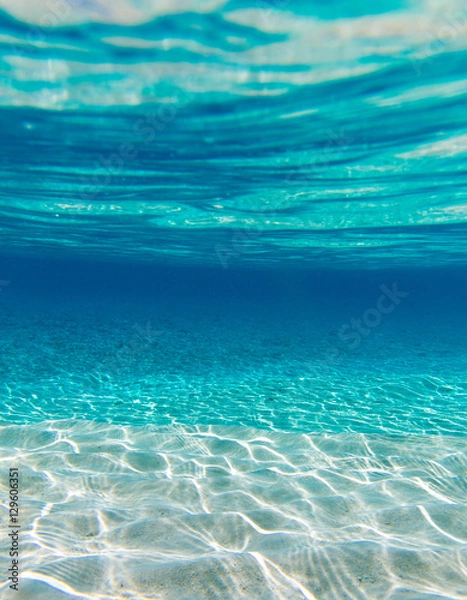 Fototapeta Underwater