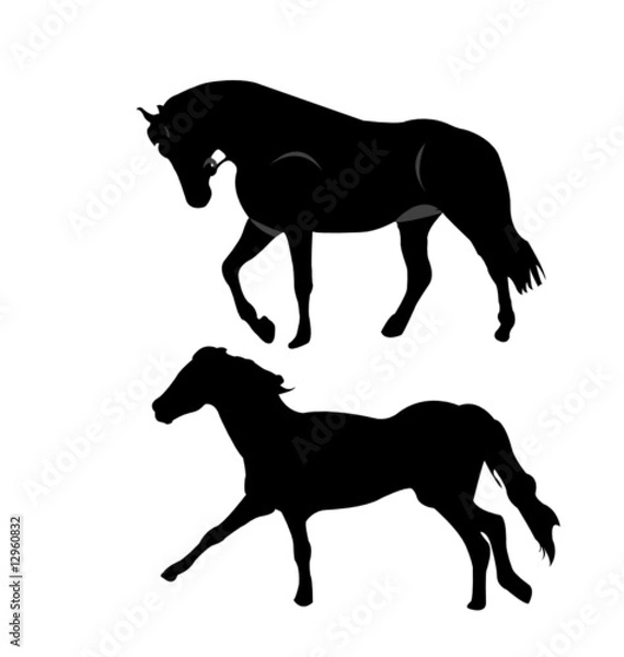 Obraz Horse silhouettes