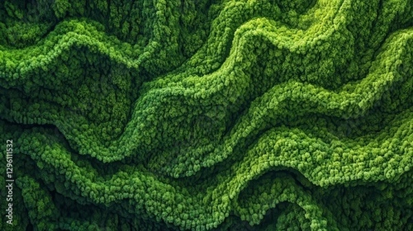 Fototapeta A verdant canvas of swirling textures, a glimpse into the heart of a lush tropical forest, where nature is artistry is unveiled in the intricate details of a single green leaf.