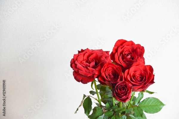 Fototapeta 赤いばら