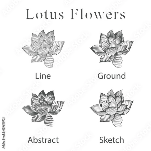 Fototapeta monoline vector illustration lotus flower sketch negative space.